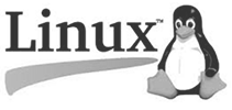 linux dedicated server hosting services